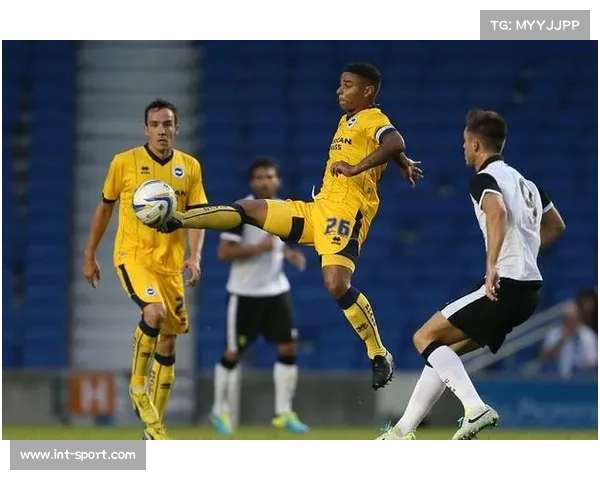 英超数据分析师培训，职业认证体系